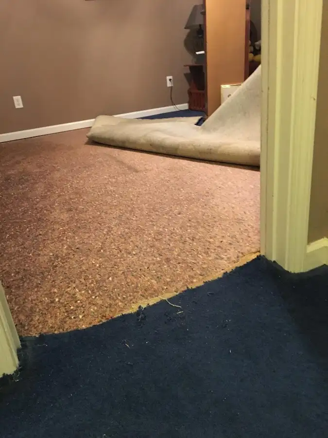 Carpet pad removal revealing water damage during Water Mitigation Services in Calumet